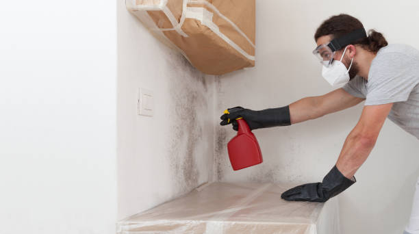 Professional Bathroom Mold Removal technician working in Camden, NJ