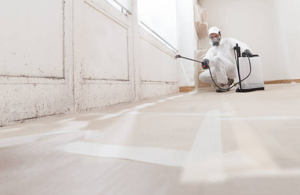 24/7 Emergency Bathroom Mold Removal experts in Camden, NJ